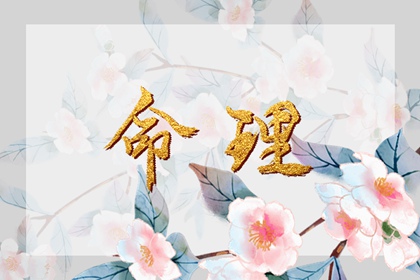 日历查询农历,日历表年黄道吉日,2026年日历查询